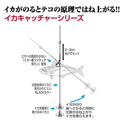 楽天市場 カツイチ Iｋａクラ Is 12 イカキャッチャー2 Katsuichi Ikakura Is 12 メール便3個まで 通販 釣り具 フィッシング 仕掛け アオリイカ ウキ釣り 泳がせ釣り 彦星フィッシング