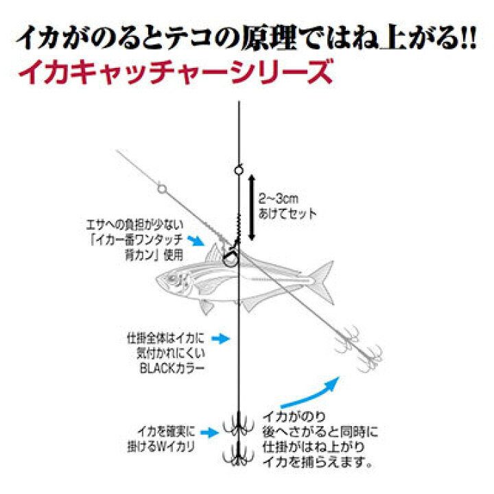 楽天市場 カツイチ Iｋａクラ Is 12 イカキャッチャー2 Katsuichi Ikakura Is 12 メール便3個まで 通販 釣り具 フィッシング 仕掛け アオリイカ ウキ釣り 泳がせ釣り 彦星フィッシング