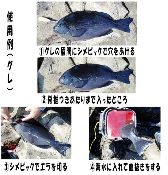 楽天市場 吉見製作所 鮮度たもつ君 真鯛用 F0 8mm 60cm 形状記憶合金 神経絞めワイヤーキット Yoshimi Inc Sendo Tamotsu Kun 釣具 フィッシング 通販 神経締め 神経抜き 方法 鼻 ワイヤー 道具 工具 ツール ヒラメ スズキ 鯛 アジ メ 彦星フィッシング