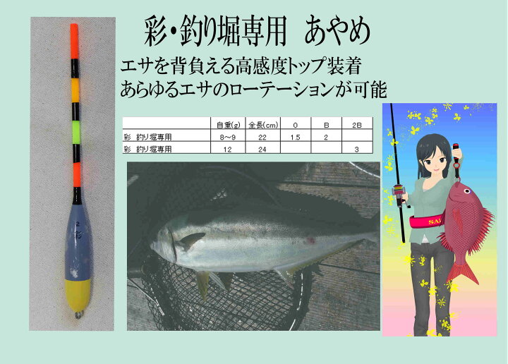 彩うき 海上釣堀専用 2号 あやめ お取り寄せ ウキ セール対象商品 メール便可 97 以上節約 あやめ