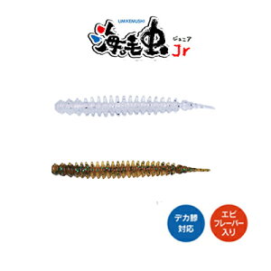 NCW[I[V [ CђJr WjA 1.8C` 8{ Crazy Ocean Umikemushi Jr ނ ދ ނ蓹 tBbVO A[ [ AWO g[[ WMO SLJ ^Co