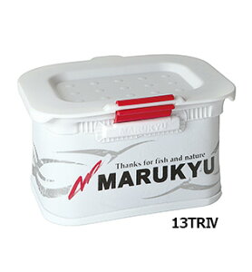 }L[ p[GToPbg13TR lV 4 MARUKYU GT TVG ނ ދ ނ蓹 tBbVO [ GT TVG a ނ O Wi `k N_C  CTL }_C tJZ