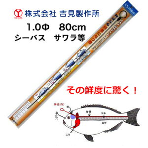 釣具 ワイヤー 神経締めの人気商品 通販 価格比較 価格 Com