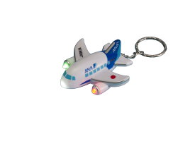 飛行機　ナイトライトジェット ANA
