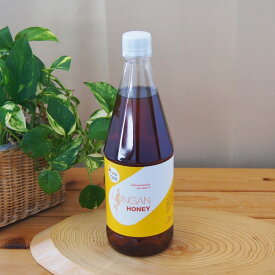 天然 ロンガン はちみつ （龍眼の花の蜂蜜） とってもお得な 1000g 容器入り 非加熱 無農薬 無添加 タイ王国 タイ王国産 龍眼肉 漢方生薬 ロンガンはちみつ 花畑100% 蜂蜜 ホットケーキ ヨーグルト 100％ 純粋はちみつ 生はちみつ ハチミツ