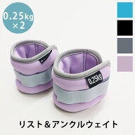 リストウエイト アンクルウエイト 0.25kg 2個 セット リストウェイト アンクルウェイト 自宅 宅トレ 筋ト…