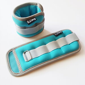 ���X�g�E�G�C�g �A���N���E�G�C�g 0.25kg 2�� �Z�b�g ���X�g�E�F�C�g �A���N���E�F�C�g ���� ��g�� �؃g�� �O�b�Y �g���[�j���O �p���[���X�g �p���[�A���N�� ���X�g�o���h �r ��� �r �r�p 