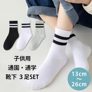 C q ʊw ʉ \bNX 3g LbY WjA   O[ 2{C  w w Z  Vv  KAN001137