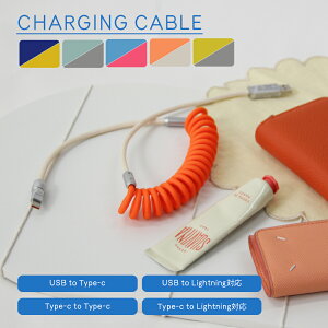 �o�C�J��? �R�C���P�[�u�� �[�d�R�[�h �X�p�C���� �[�d�P�[�u�� ���킢�� ������� USB Type-c ���C�g�j���O�Ή� KAN002741