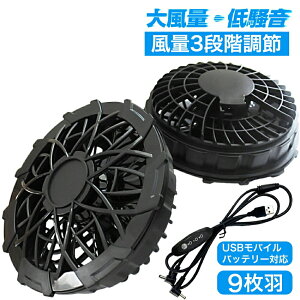  t@ 󒲃t@ 2 Zbg R USBP[u t 3iK EFA p ƕ d ʒ M ΍ obe[ ΍ K t@Zbg p ʊw ނ 