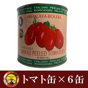 g}g i2.55kg×6ʁj P[X C^AY g}gʋl Jbg g}g tomato ʋl  Ɩp z[ z[g}g g}gW[X ނg}g ng}g tomato C^A  
