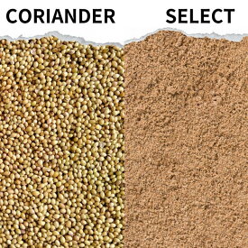 コリアンダーホール コリアンダーパウダー 50g 〜 選べる コリアンダー スパイス カレー 香辛料 ハーブ ドライハーブ おうちカレー 調味料 カレー粉 カレースパイス 香辛料 インド料理 トッピング