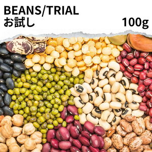 Iׂ   100g _ DAL  lߑւ  O_ Ђ悱 Eh g[_ }X[_ ~bNXr[Y rA 哤 CG[ O[ Γ ₵ `i XpCX 