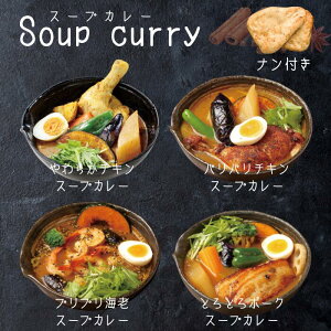 Ⓚ {i Iׂ X[vJ[ 4H Zbg gift Mtg  䒆 soup curry `L |[N CV Vv i ^h[ XpCX J[ ȒP lp[ Ch J[[ Frozen curry naan