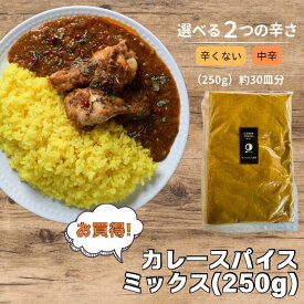 辛さが選べるカレーパウダー 250g お得用 大容量 カレー 約30皿分 スパイス 簡単 カレースパイス カレールー カレー粉 簡単調理 中辛 セット お取り寄せグルメ ミックス ガラムマサラ カルダモン 限定 ミックススパイス オリジナルスパイス