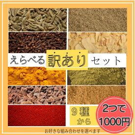 【1000円ポッキリ】 選べる 訳あり セット 訳アリ 送料無料 規格外(90g~99g) 細かい クミン コリアンダー ターメリック ガーリック クローブ ガラムマサラ スターアニス 八角 唐辛子 調味料 スパイス カレースパイス カレー カレー粉 カレースパイス ポイント消化