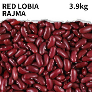 bhrA RAJMA 3.9kg RED LOBIA Ԃ񂰂 CQ bhLhj[ Ɩp J[ X[v J[  Lhj[r[Y W} bhrA _