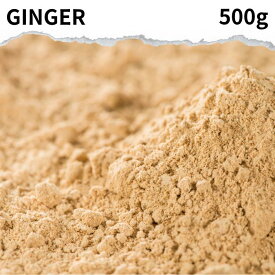 ジンジャーパウダー 500g GINGER POWDER インド産 送料無料 生姜パウダー パウダー 生姜 ショウガ しょうが粉末 生姜 生姜粉末 乾燥生姜 干姜 スパイスハーブ 香辛料 飲み物に ショウガパウダー 生姜湯 ジンジャーエール にも ポイント消化 バーベキュー BBQ