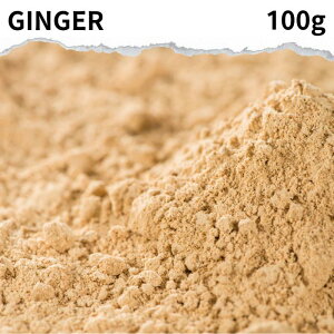 WW[pE_[ 100g GINGERPOWDER IpE_[ pE_[ I VEK 傤 I I I I I XpCXn[u h ݕ VEKpE_[ I WW
