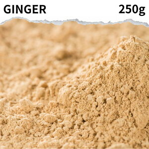 WW[pE_[ 250g GINGER POWDER I pE_[ VEK 傤 I I I XpCXn[u h ݕ VEKpE_[ I WW[G[