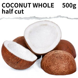 RRibcz[ 500g Coconuts whole n[t Jbg  RRibc V̎ q̎ ₵̎ Y H ẼJ[ VR t َq R ِHi NHi J[ J[ J