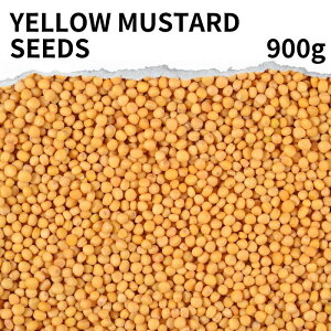 CG[}X^[hV[h 900g yellow mustard seed }X^[h V[hJ[ J[ h n[u hCn[u  Ɩp CObV }X^[h {h[}X^[h fBW}X