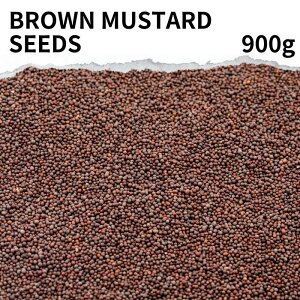 uE}X^[hV[h 900g yellow mustard seed }X^[h  J[ J[ J[XpCX h hCn[u Ch gbsO n[u zCg}X^[hV[h