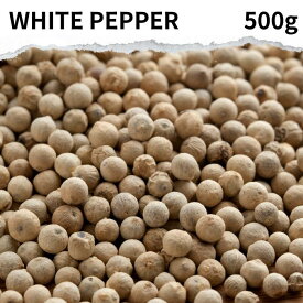ホワイトペッパー ホール 500g white pepper whole コショウ 白胡椒 ホワイトペッパー スパイスハーブ 香辛料 フェアトレード 粉末パウダー スパイス カレー カレー粉 カレースパイス ホワイトソース ホワイトシチュー