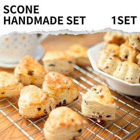 スコーン 手作りキット 選べる 味 2種 スイーツ 約8個分 セット 簡単 レシピ付き お菓子 スイーツセット スコーン 手作り ジャゲリー 小麦粉 チョコチップ チャイ マサラ スパイス ミニケーキ