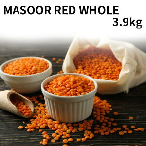 }X[bhz[ Iׂ 500g ` masoor red whole Y bhe }bX_ }bX_[ ނ Y ߕ ܂ J[ X[v J[ X[v Ђ܂ Y 