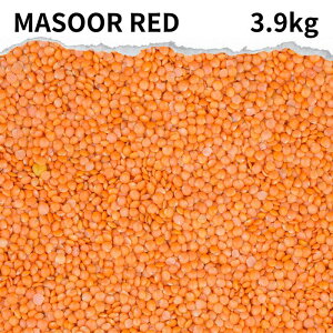 bheB Iׂ 500g ` Y bhe }bX_ }bX_[ ނ Y ߕ ܂ J[ X[v J[ X[v Ђ܂ Y Ch C^