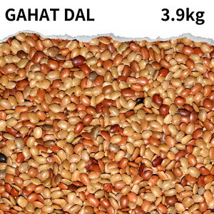 Knbg_ Gahat dal 500g z[XO _[  ߕ ܂ J[ X[v J[ X[v