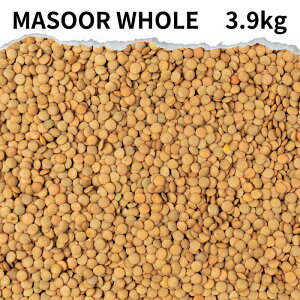 }X[z[ Iׂ 500g ` MASOOR WHOLE Y  _ MASOOR WHOLE dal  Ɩp Ђ瓤 ߕ ܂ J[ X[v J[ X[v Ђ܂ Y 񂸂܂ Ch C^A