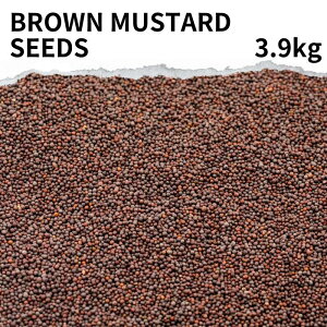uE}X^[hV[h Iׂ 100g `brown mustard seed }X^[h  J[ J[ J[XpCX h hCn[u Ch gbsO n[u zCg}X^[hV[hp