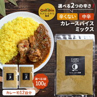 【マラソン期間限定★ポイント20倍！】辛さが選べるカレーパウダー 100g オリジナル ミックス カレー cur…