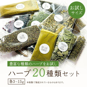 n[u 20  Zbg   h XpCX J[ n[u [t z[ pE_[ e 񂹃O  Hi  Ch ؗ C^A AW