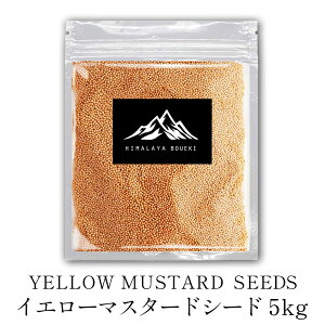 CG[}X^[hV[h 5kg }X^[h V[hJ[ J[ h n[u hCn[u  Ɩp CObV }X^[h {h[}X^[h fBW}X^[h [}