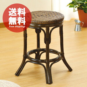 ���C�t in ���^�����n�C�^�C�v���_���كX�c�[���y����46cm�z�F���������y�فE�A�W�A���z