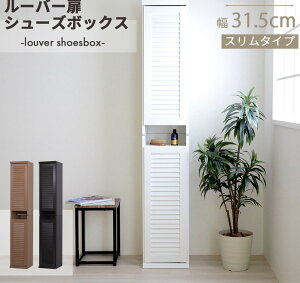 X V[Y{bNX [o[t V[YbN 32cm   XL} ȃXy[X ʔ  C [