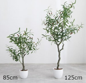 G} lHϗtA tFCNO[ CeAO[ ډB Ԏd؂ kkkez 85cm8800~ 125cm13980~