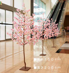   tFCNO[ lH lHϗtA rbOc[ `F[ cherry Ԍ ^ 150cm 200cm t o   TN a