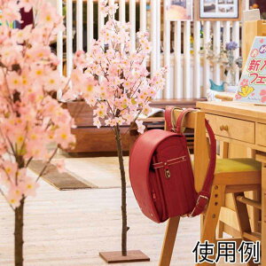  R   tFCNO[ lH lHϗtA rbOc[ `F[ cherry Ԍ 120cm t o   TN a