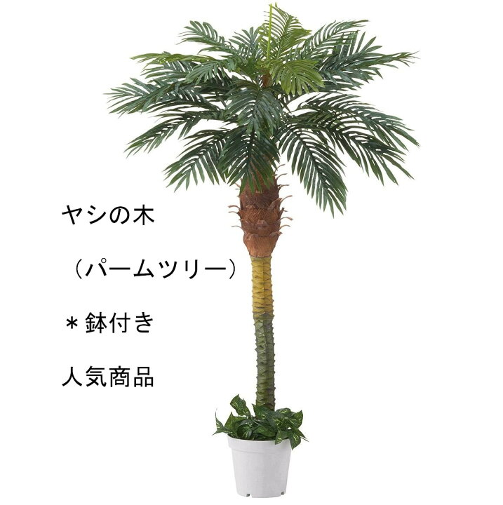 楽天市場】ヤシの木 椰子の木 やしの木 パームツリー 鉢付き フェイク 