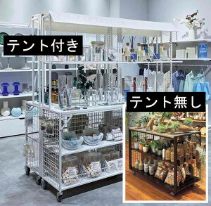 Xv[V fBXvCY S  }VF oX rbtF V[e[u V[P[X LX^[t