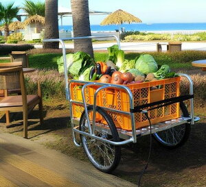  ܂肽ݎ ̔ ȒP^  fBXvCV[P[X }VF S ԗ֕t J[  kkkez Cxg