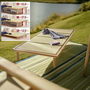   Xe[W V[e[u fBXvCe[u xbh x` |aƋ VR䑐  XmR 3TCYp 3iK߉\ 12.5 27.5 32.5cm