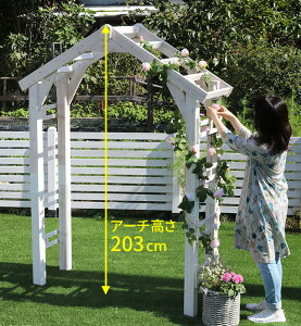 }VF A[` Q[g  VRؐ fBXvC fBXv[