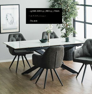 GNXeVe[u Z~bN Ζ X`[  _  Lk L g _CjOe[u z[p[eB[ 160 190 220cm ߉\ Lяk