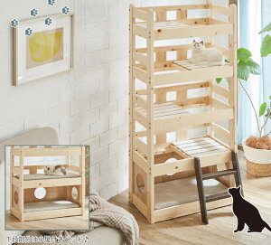 VRؐ Lbg^[ L^[ Lbgxbh 5ixbh