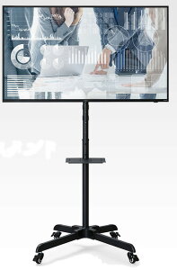 nC^Cv er Lk TVX^h j^[ fBXvCX^h 120-159cm ߉\ LX^[t ړyX kkkez